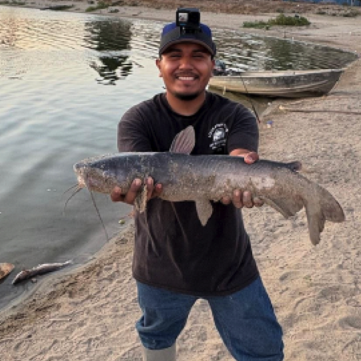 Cisco Saldivar profile