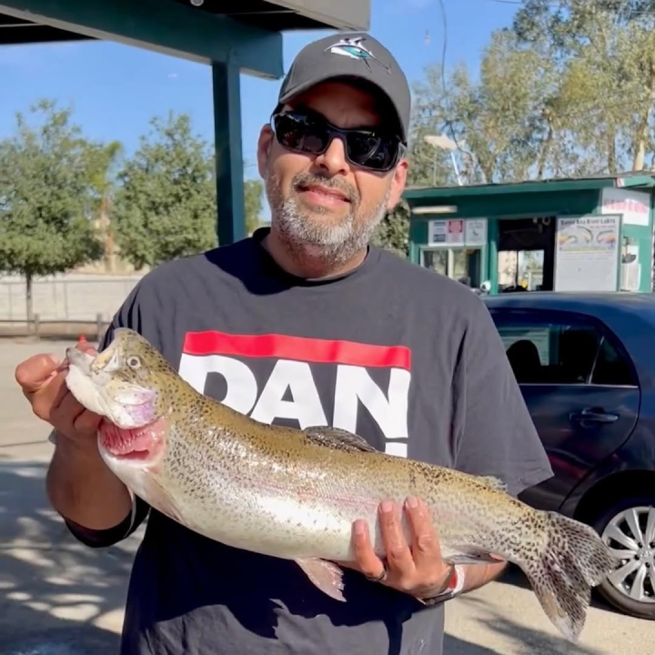 Dancin Fish Baits profile