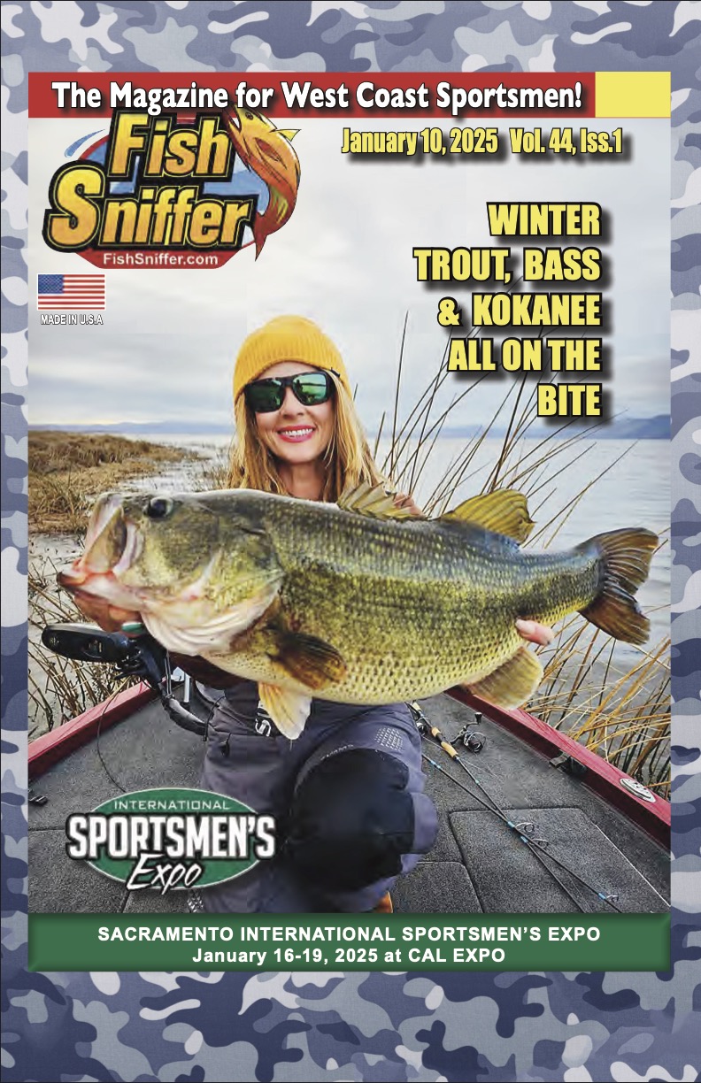 Issue 4401 cover