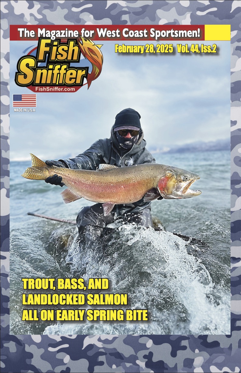 Issue 4402 cover