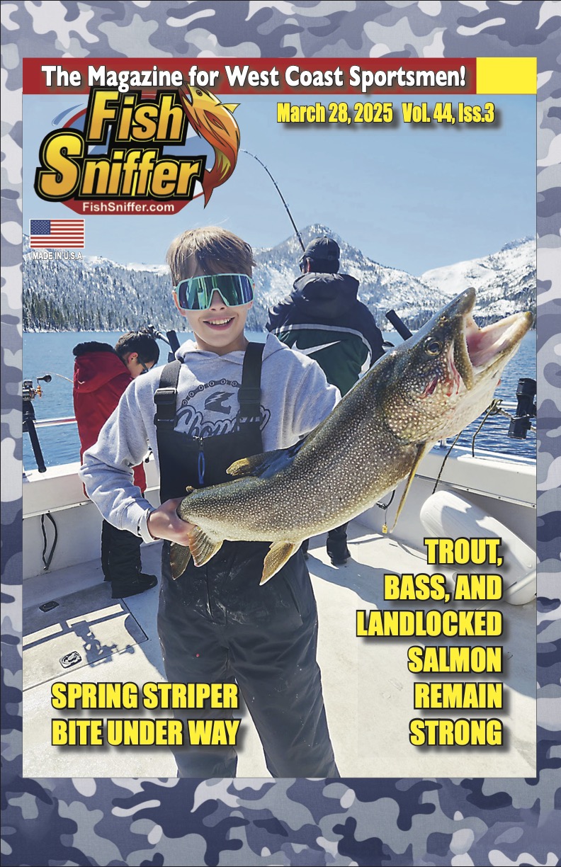 Issue 4403 cover