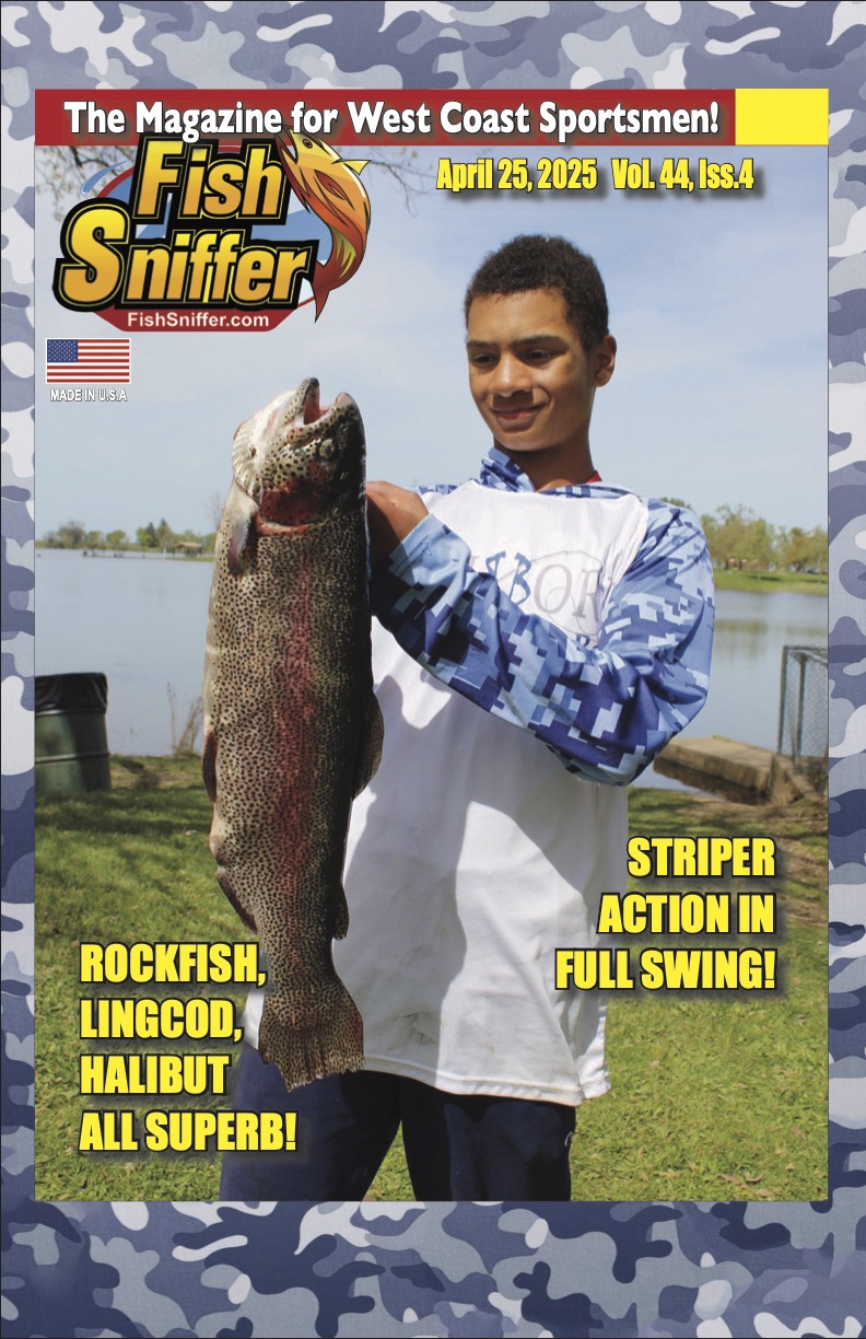 Issue 4404 cover