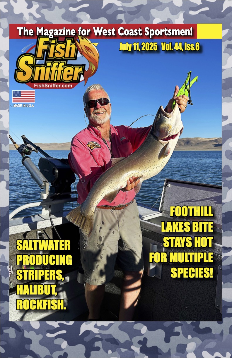 Volume 44 Issue 6 Out Now!