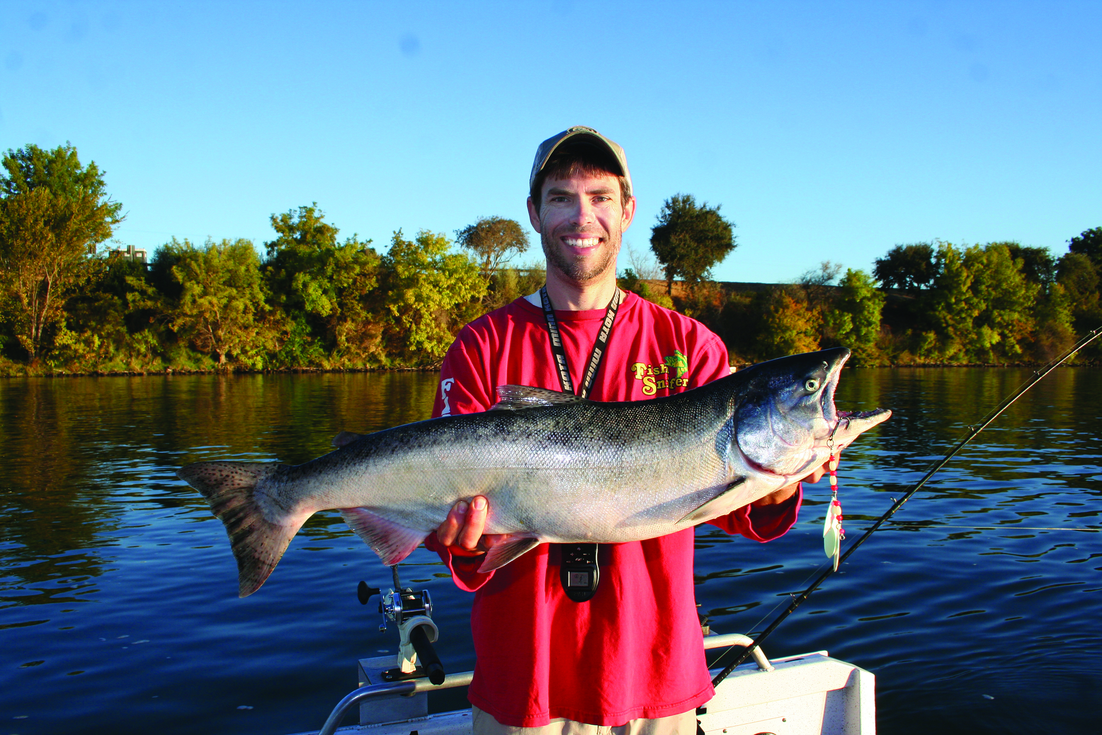 Sacramento Area Salmon: Are You Trolling Fast Enough?