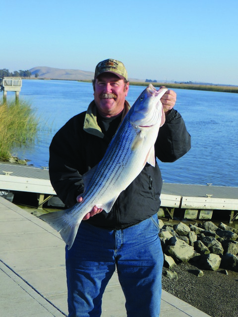 Delta Stripers: The Basics Of Fall Bait Fishing