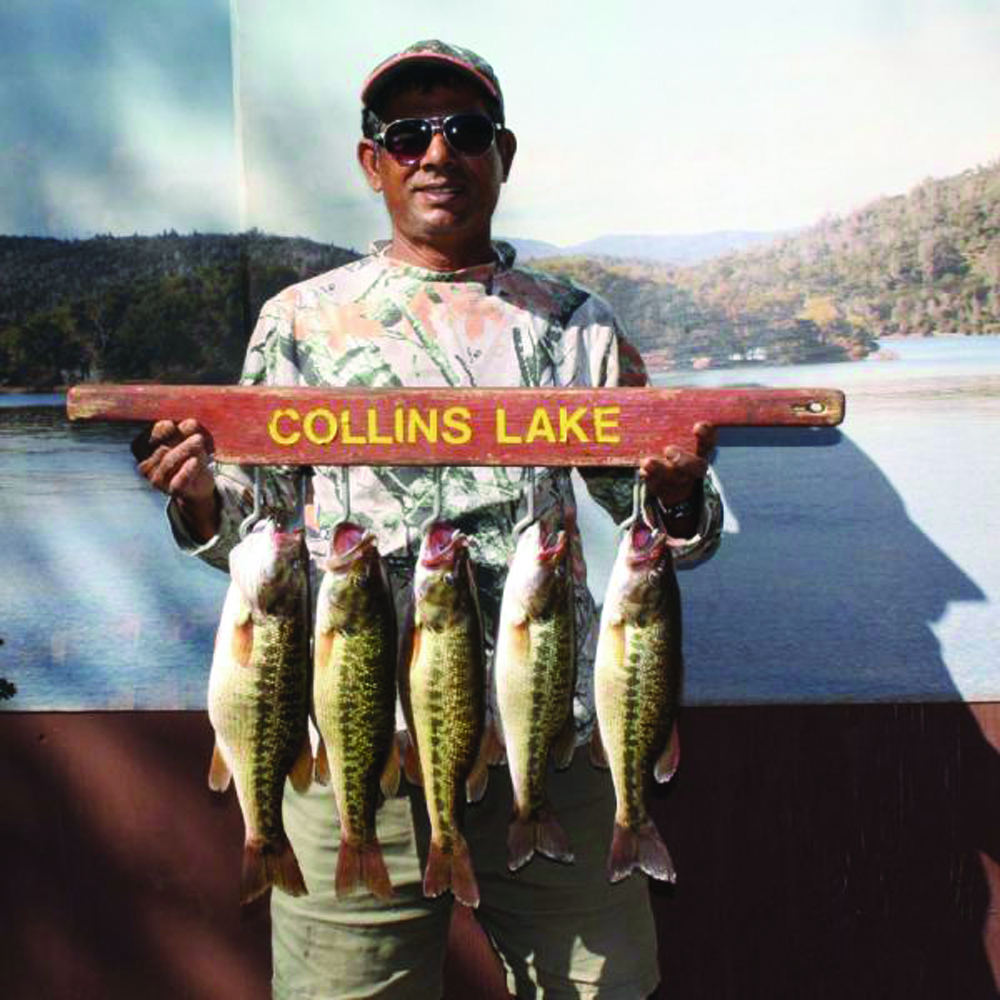First Fall Trout Plant Goes Into Lake