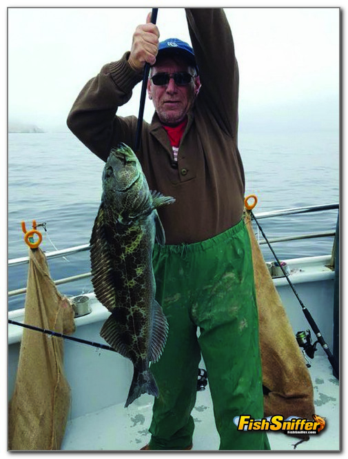 Rockfish And Bonito Fill The Bill For Local Anglers