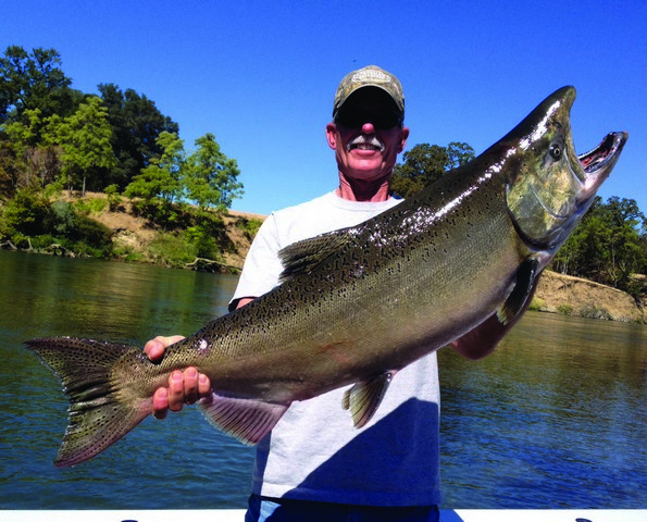Salmon And Steelhead Cooperate With Late Fall Anglers