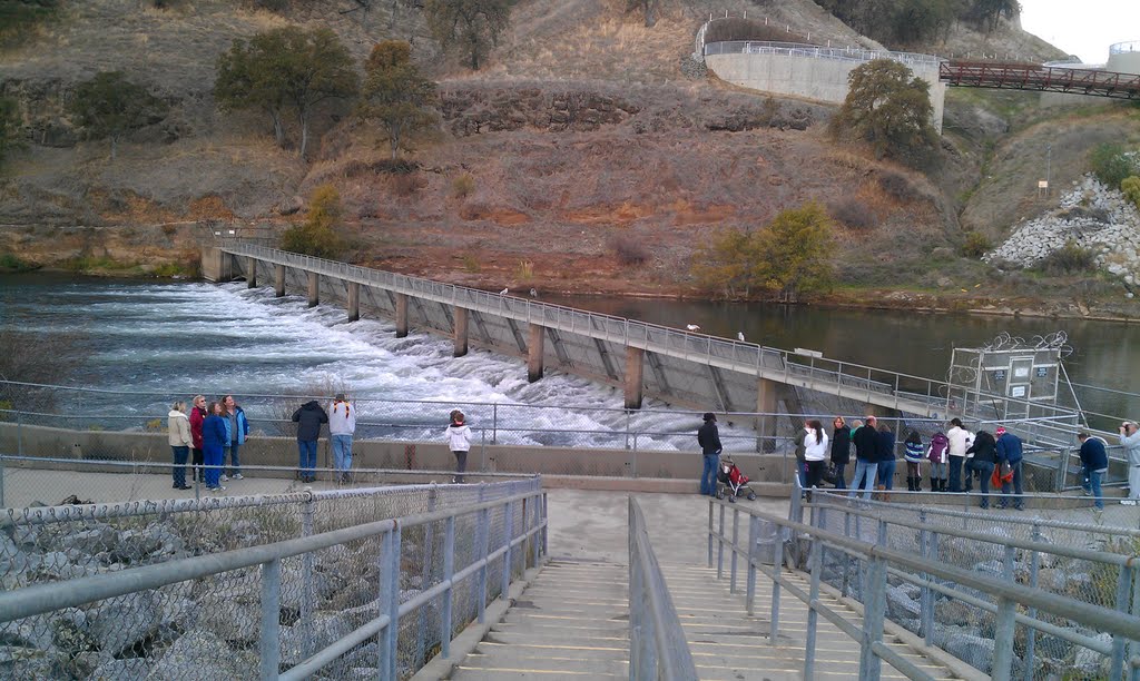 Nimbus Fish Hatchery Ladder Opened Nov. 2