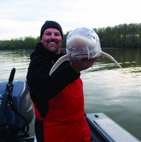 Diamondback Attack: Tips For Tagging Sturgeon Now!