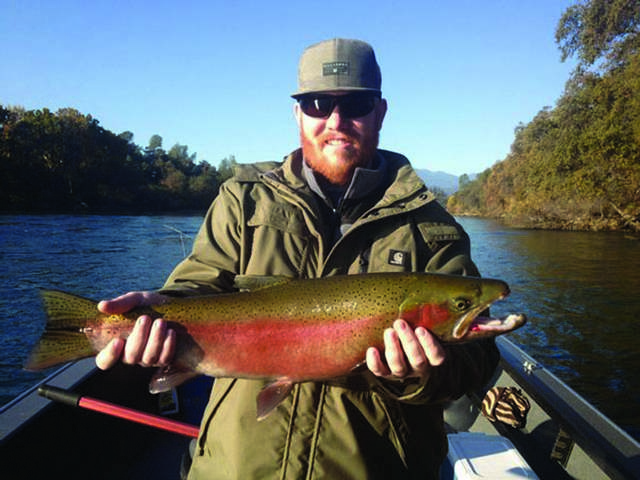 Wild Rainbows Take Center Stage In Wake Of Salmon Season