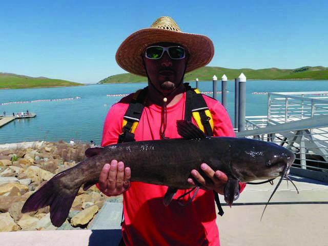 East Bay Lakes Roundup