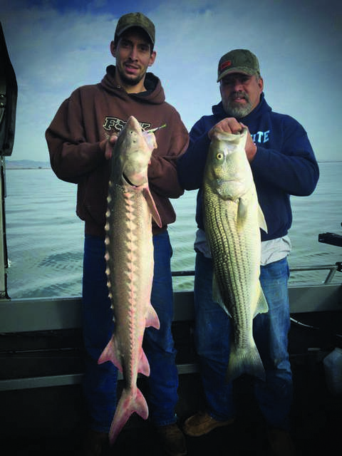 Stripers And Sturgeon Plentiful!