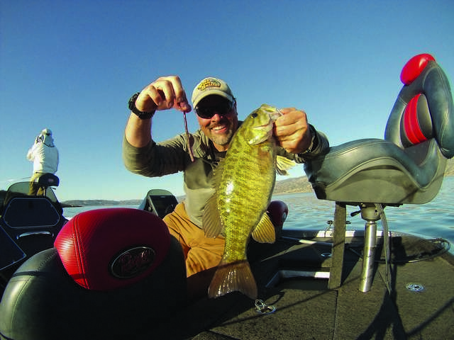 Worming Your Way To More Bass