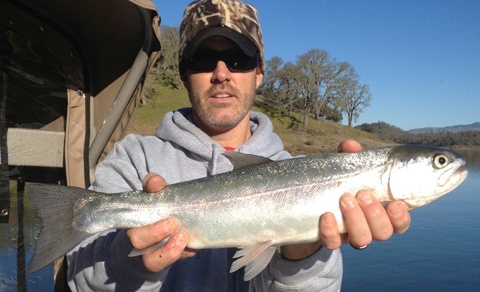 Trout Begin To Stir
