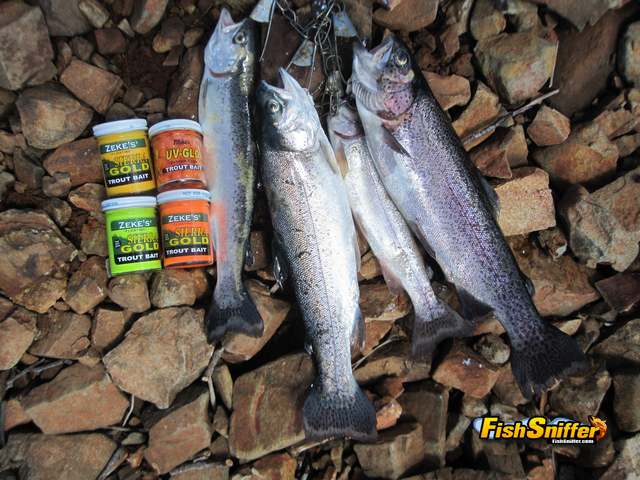 Bank Fishing at San Pablo Reservoir