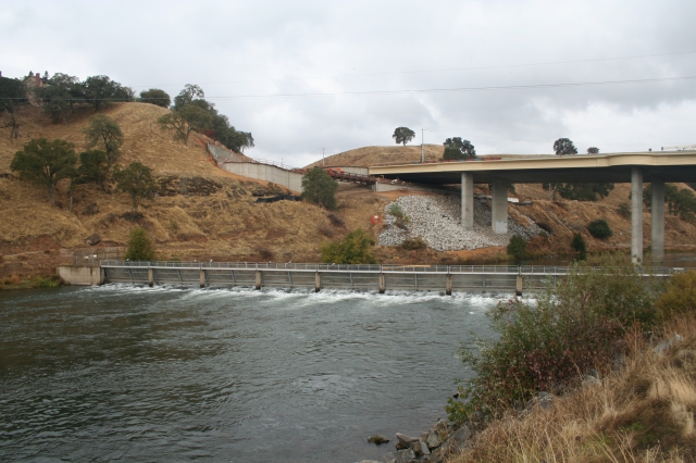 Nimbus Hatchery Steelhead Numbers Rebound From Last Year