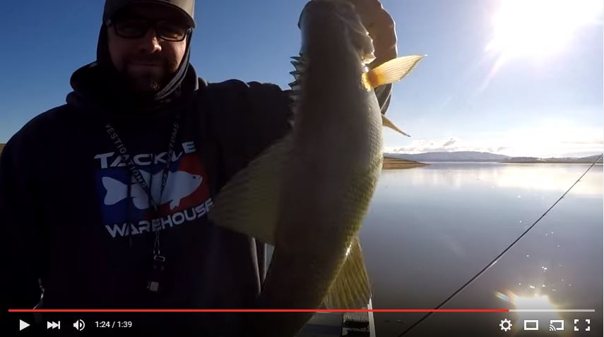 Drop Shot For Winter Bass