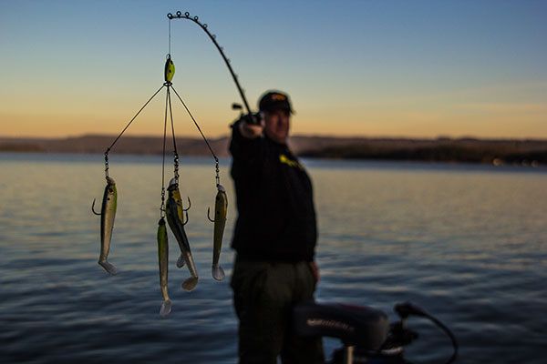 Big Largemouths Hit Umbrella Rigs