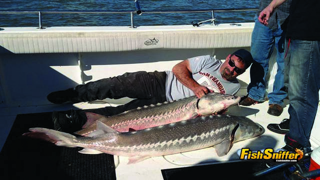 On The Hunt For Suisun Bay Sturgeon