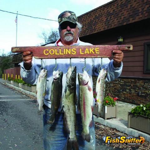 Spring Trout Plants Begin!