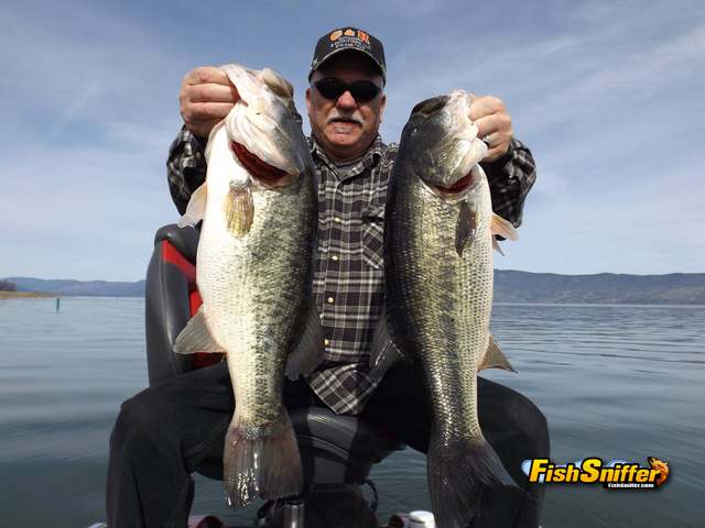 Largemouth Action Heats Up