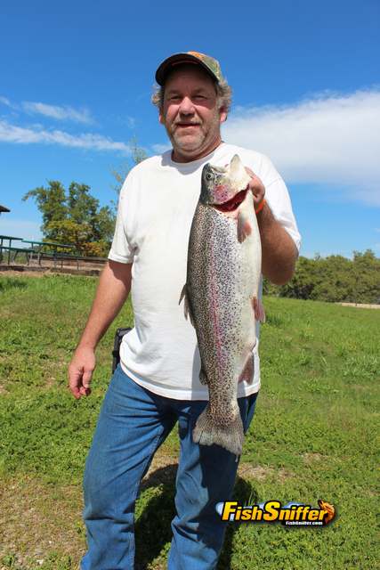 Anglers Weigh In Big Numbers Of Hefty Rainbows At Lake Amador NTAC Event
