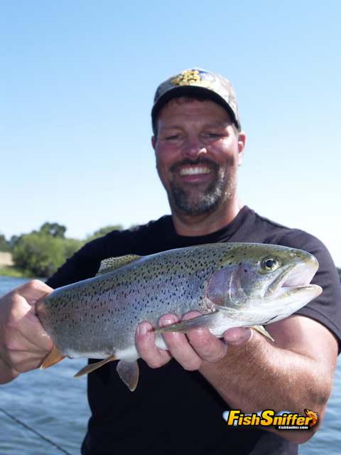 Spring Trout Bait Round-Up!