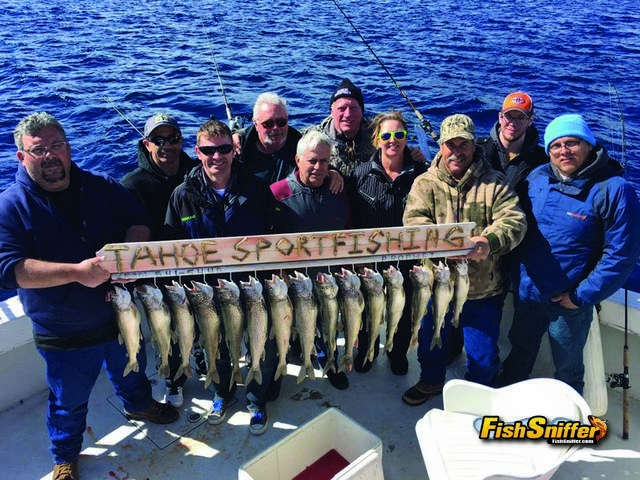 Macks And Trout Grab Minnows And Lures