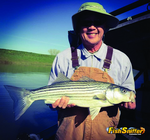 San Joaquin River Largemouths Offer Solid Action
