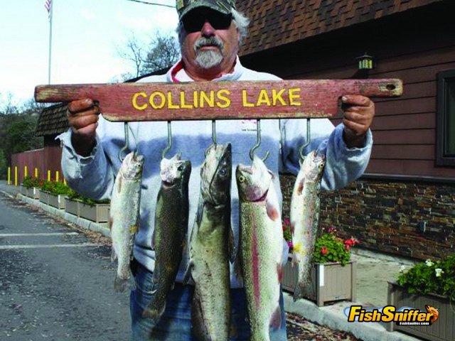 Rainbow Trout And Bass Abound