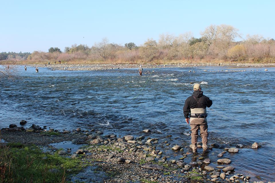 Bureau to increase American River flows to 15,000 cfs