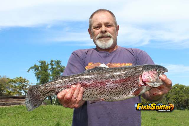 Lake Amador Plans To Begin Raising Trout Again