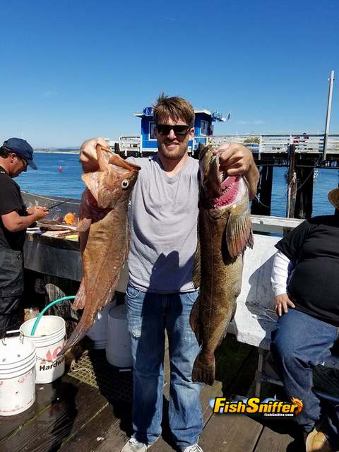 Lingcod Are On The Chomp Off Big Sur