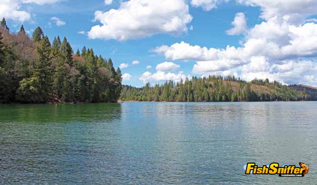 Rollins Lake Receives First Spring Plant Of Rainbows