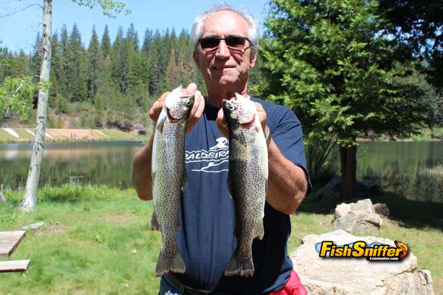 Are California Fish Hatcheries Going Broke?