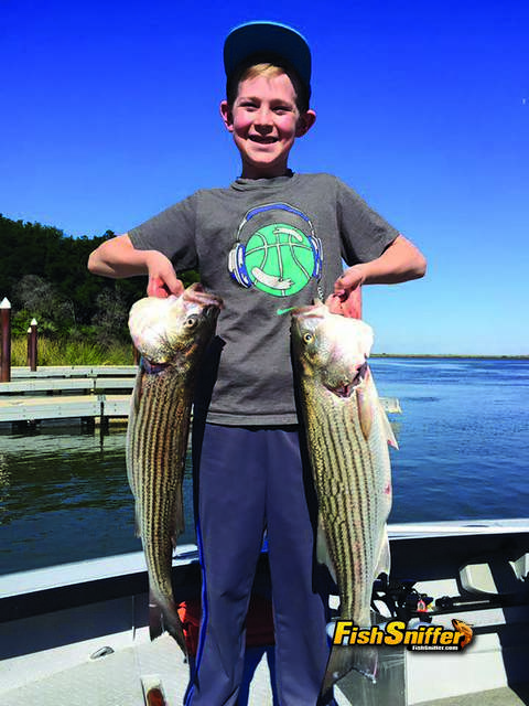 Gusty Winds Don’t Slow Down Largemouth And Striper Bites