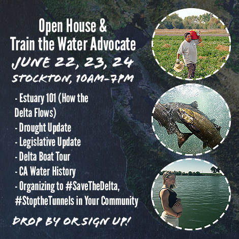 Action Alert: Tell CA Senators to Do the Right Thing for the Delta