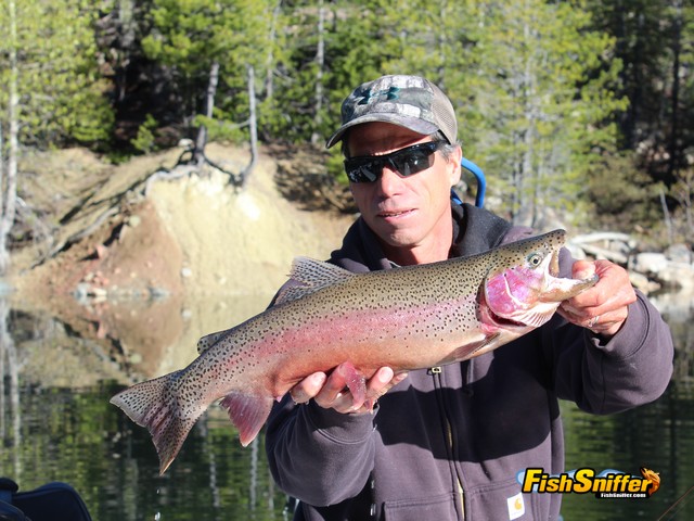 Rainbows, Browns & Bonus Cutthroats Hit At Jackson Meadows