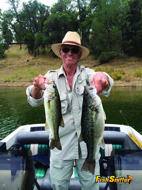 Bass Fishing Holds Steady
