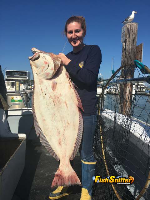 32 Lb. Halibut Tops The Bay Catches