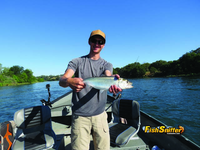Shad, Scenery And Double Pneumonia