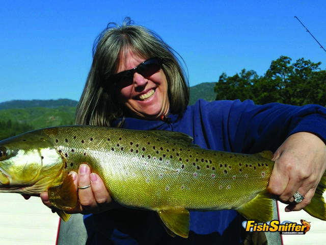 Wild Rainbows Offer Top Sport Until July 16 Salmon Opener