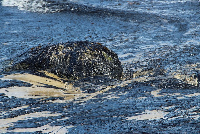 Pipeline Company Indicted on 46 Criminal Charges in Refugio Oil Spill
