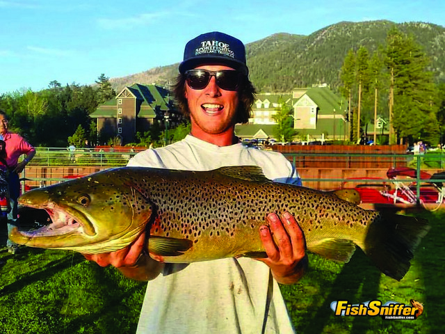 June Kicks Off With Double Digit Macks And Browns
