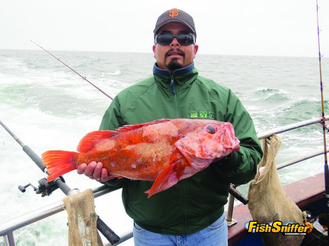 Happy Hooker Cal Kellogg School Of Fishing Event Produces 55 Lingcod & More!