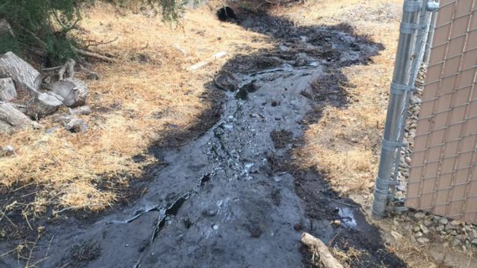 Ventura Oil Spill Highlights Regulatory Capture