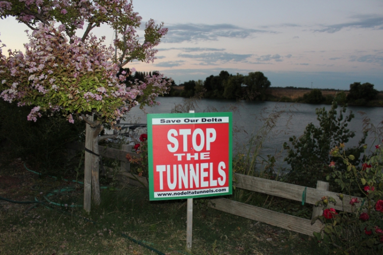 Deep Regulatory Capture: The Links Between Delta Tunnels Plan and MLPA Initiative