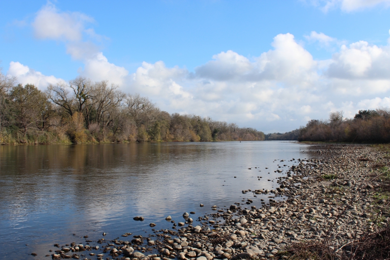 Reclamation slashes lower American River releases to 1,500 cfs