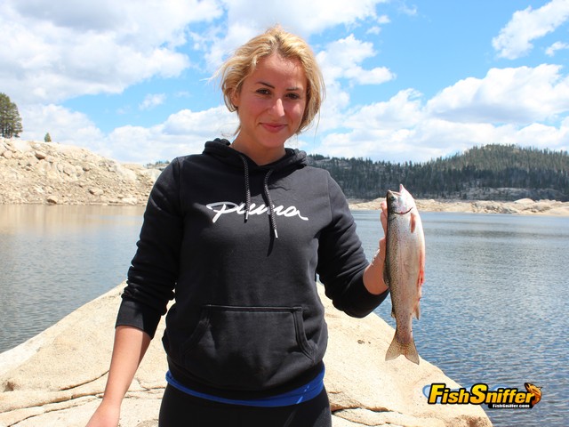 The Magical Trout Of Spicer Reservoir
